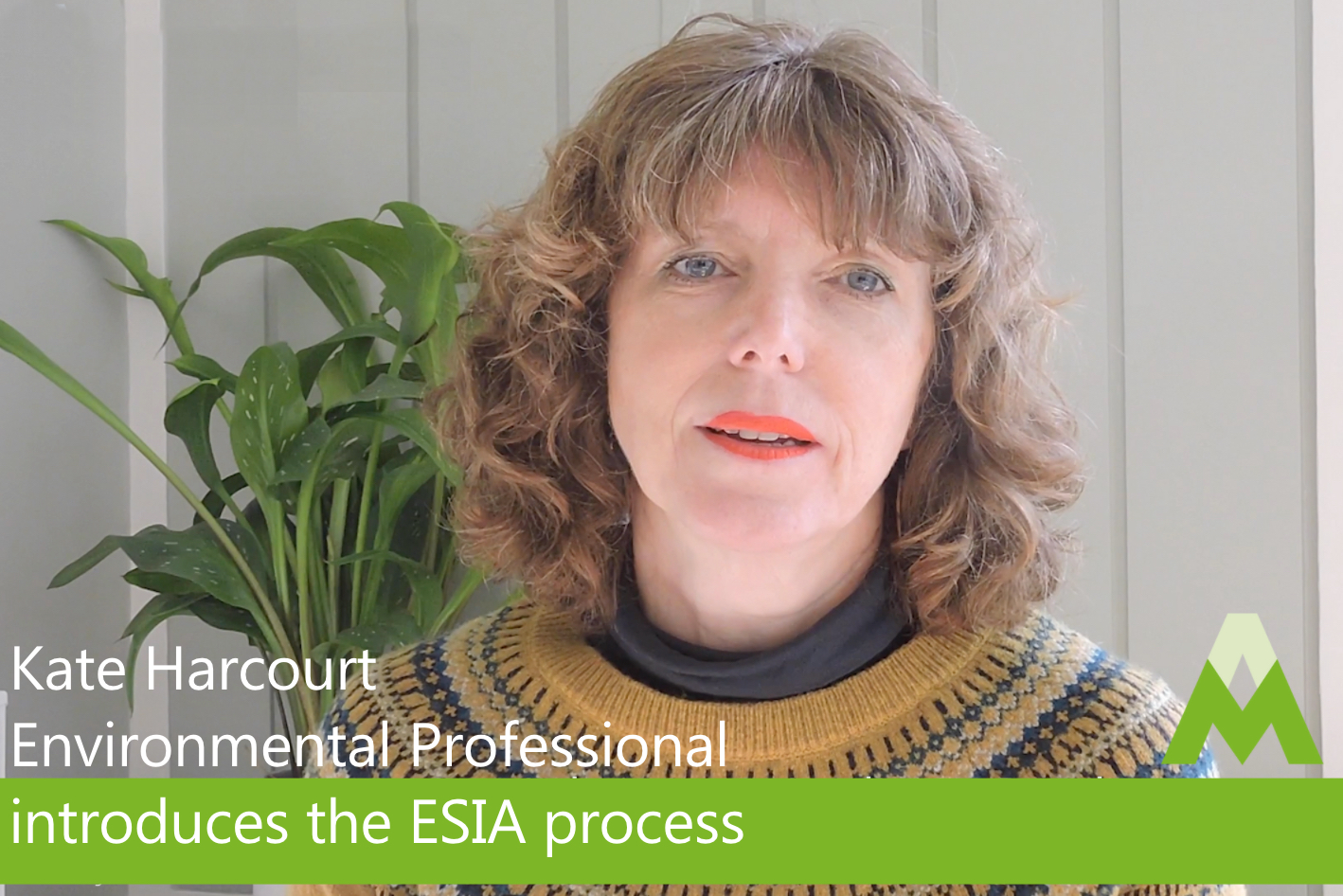 Kate Harcourt-Environmental Professional introduces the ESIA process